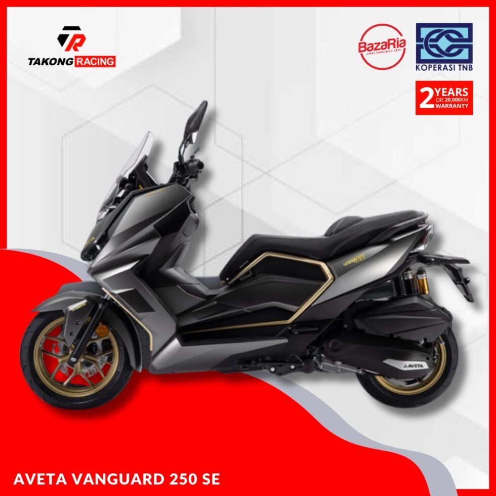 AVETA VANGUARD 250 SE - Image 2